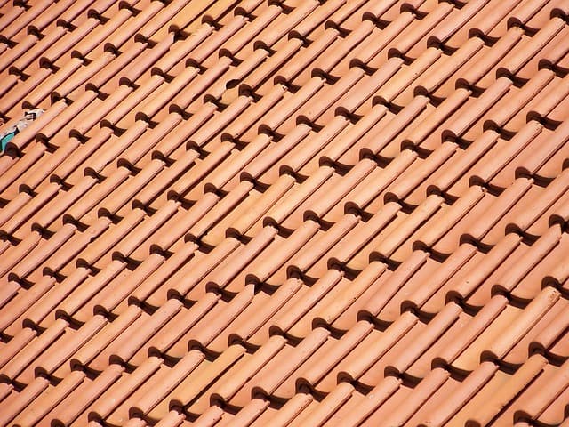 Holenderki